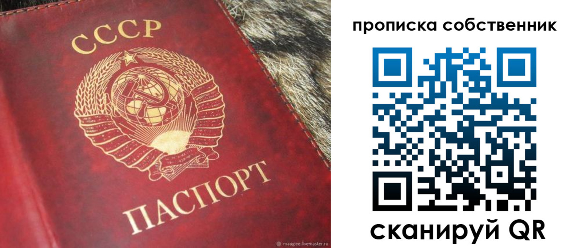 прописка в квартире в Коми